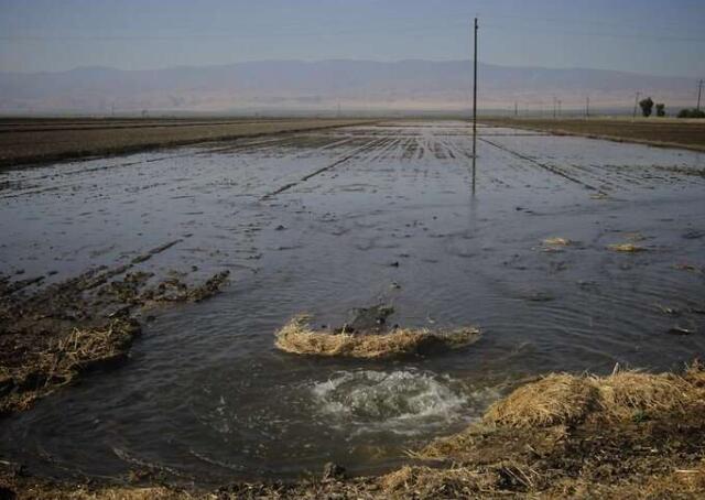 “跟踪储水显示了在洪水和干旱期间改善水资源管理的选项