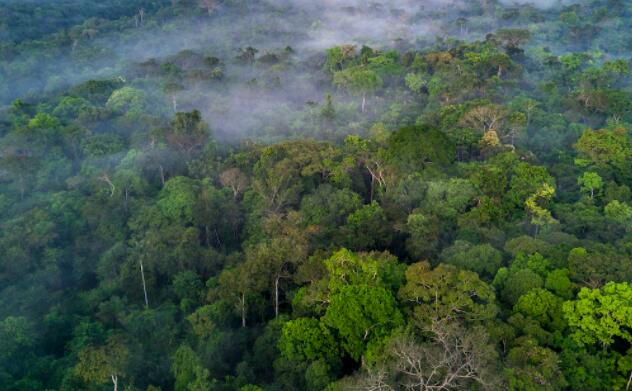 “热带森林脆弱性指数