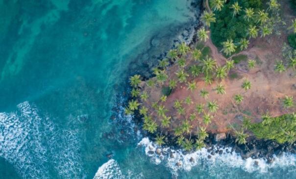 通过综合战略实现生物多样性、气候和水资源目标