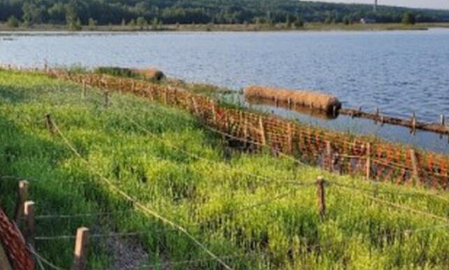 “北方邦的火炬湖被用作实验基地 以提高底栖生物的恢复