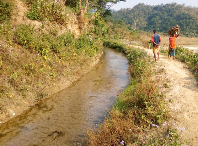 “阿萨姆邦的博多社区如何利用土著知识来解决数十年的供水问题