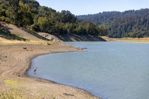 “随着加州干旱加剧 用水量仅下降1.8%