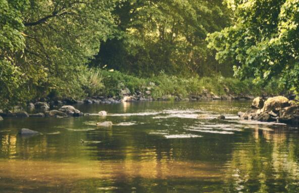 “Anglian Water宣布东安格利亚河流修复项目