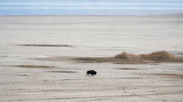 “专家表示特大干旱在犹他州的未来可能会更加普遍