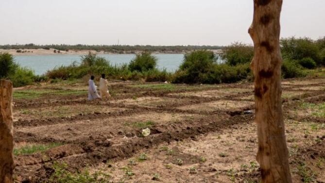 “苏丹:新的水资源管理战略生效