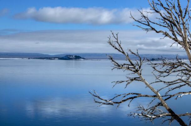 “停止排放莫诺湖的交易如何帮助解决加州未来的水战