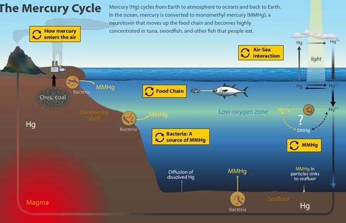 “工业排放到大气中的汞如何进入海洋