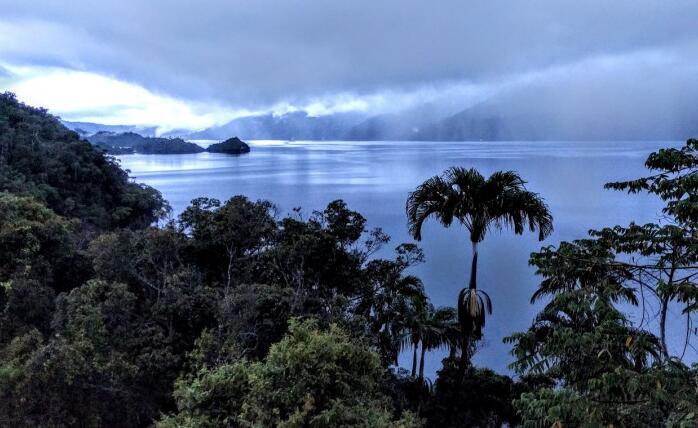 “重要的PNG湿地生态系统崩溃的迹象