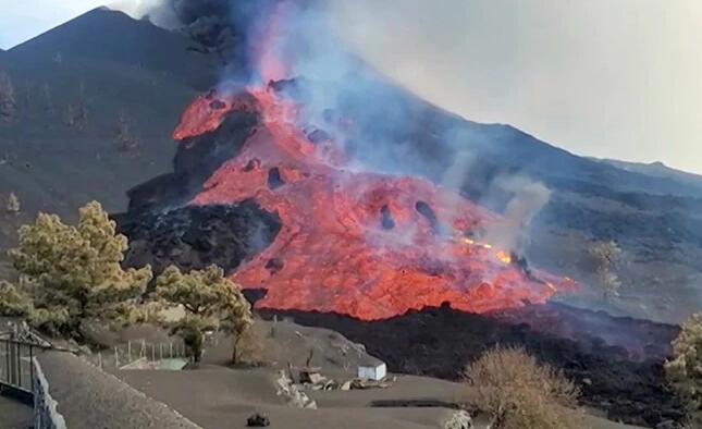 “无人机为西班牙因火山而被困的狗狗提供食物和水