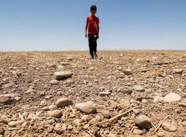 “水危机迫使伊拉克进一步减少冬季作物面积