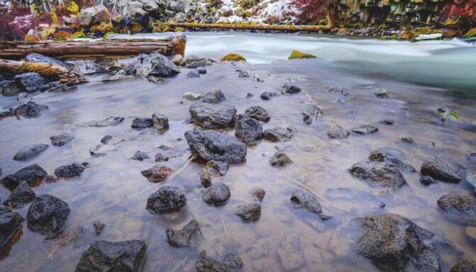 “企业如何帮助恢复俄勒冈州河流中的水和野生动物