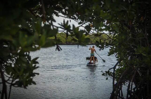 湖价值泻湖大赢家湖O计划 但西棕榈滩供水问题